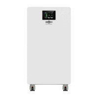 Аккумуляторная батарея Biom Professional 48В (51.2В) BALFP-512314-V2 16кВтч