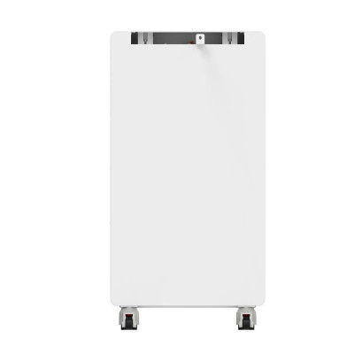 Аккумуляторная батарея Biom Professional 48В (51.2В) BALFP-512314-V2 16кВтч