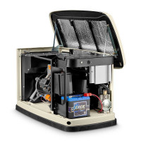 Газовий генератор Generac 7145 (однофазний) 10 кВт