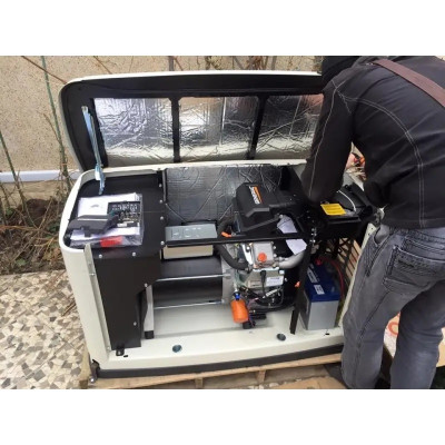 Газовий генератор Generac 7145 (однофазний) 10 кВт