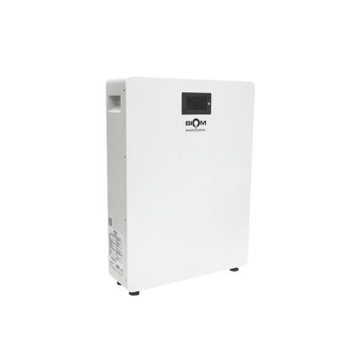Акумуляторна батарея Biom Professional 48В (51.2В) BALFP-512200-V1 10кВтч