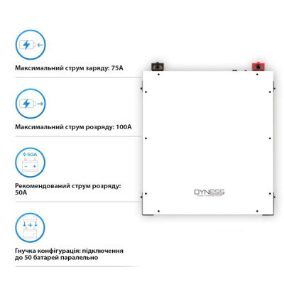 Акумуляторна батарея Dyness DL5.0C 51.2V 100Ah LiFePO4