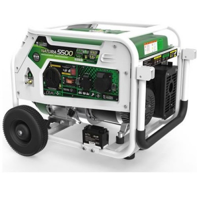 Генератор бензин - газ GENERGY NATURA 5000 5,5 /5 кВт Генератор бензин - газ GENERGY NATURA 5000 5,5 /5 кВт