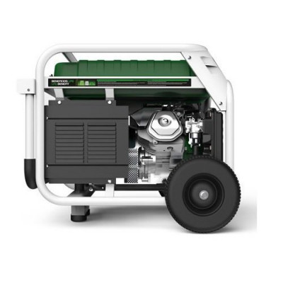 Генератор бензин - газ GENERGY NATURA 5000 5,5 /5 кВт Генератор бензин - газ GENERGY NATURA 5000 5,5 /5 кВт