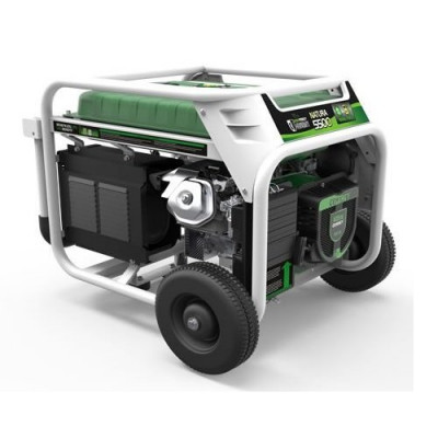 Генератор бензин - газ GENERGY NATURA 5000 5,5 /5 кВт Генератор бензин - газ GENERGY NATURA 5000 5,5 /5 кВт