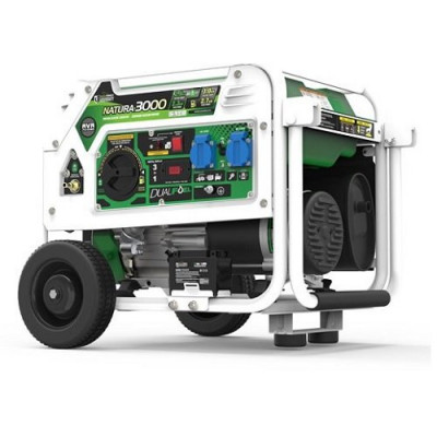 Генератор бензин - газ GENERGY NATURA 3000 3/2,6 кВт
