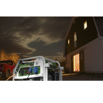 Генератор бензин - газ GENERGY NATURA 7000 7 / 6 кВт Генератор бензин - газ GENERGY NATURA 7000 7 / 6 кВт