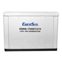 Генератор газовий EnerSol ENNG-17000TATS